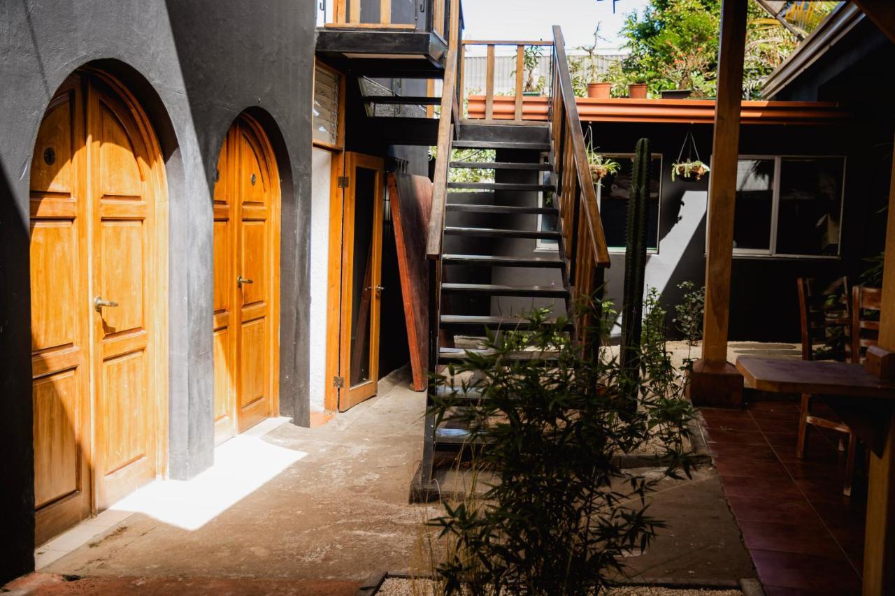 Luz De Luna Hotel Barrio Escalante Сан-Хосе Экстерьер фото