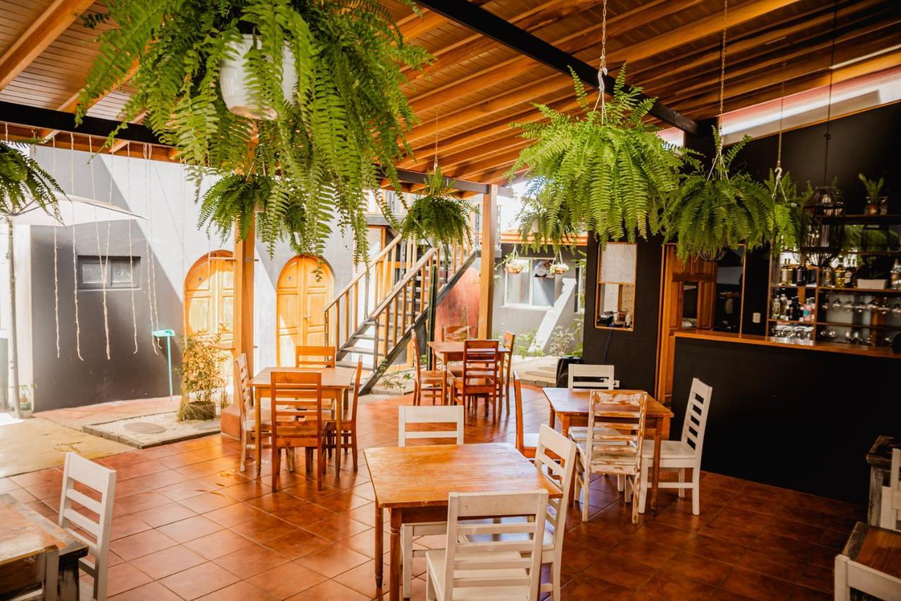 Luz De Luna Hotel Barrio Escalante Сан-Хосе Экстерьер фото